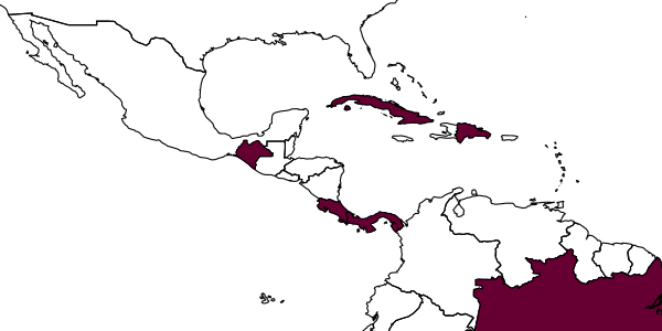 map of Enicospilus gallegosi     Gauld, 1988
